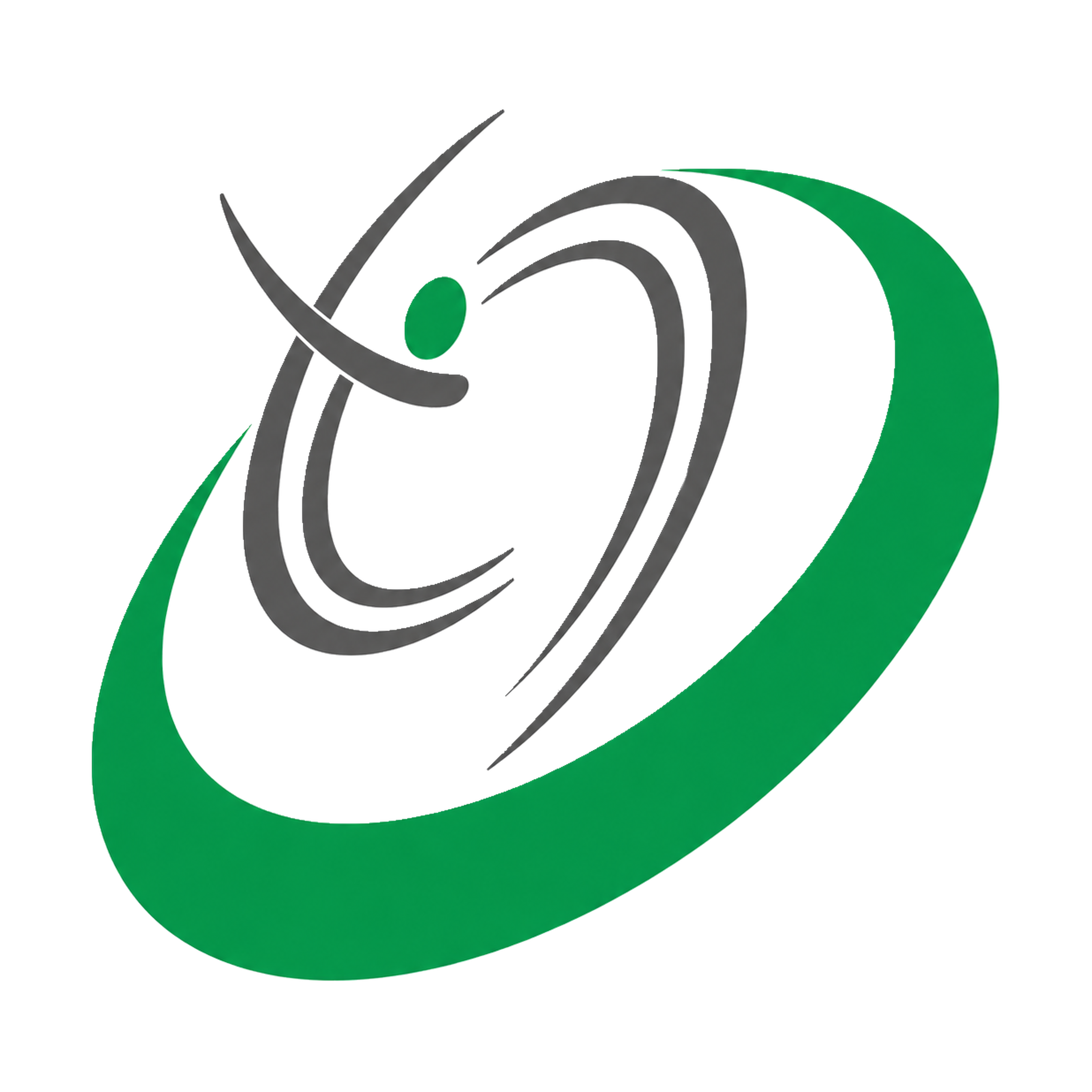 Times IT Projects Limited logo